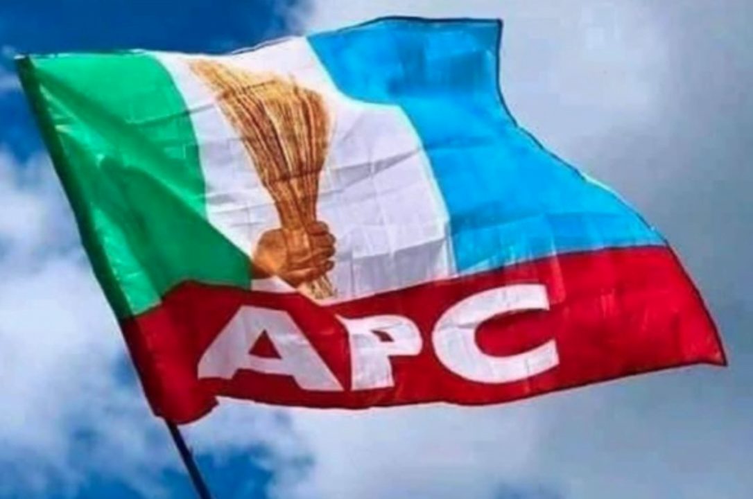 Aiyedatiwa's preferred aspirants disqualified from APC Reps primaries in Ondo